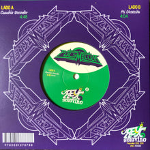 Cargar imagen en el visor de la galería, 7" Pollymiller | Cumbia Vocoder