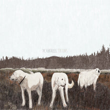 Cargar imagen en el visor de la galería, Foxing | The Albatross: Ten Years [Brown Vinyl]
