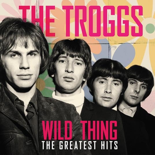 The Troggs | Wild Thing The Greatest Hits