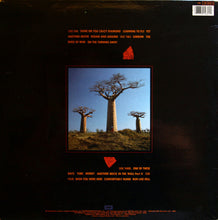 Cargar imagen en el visor de la galería, Pink Floyd | Delicate Sound Of Thunder [2LP]
