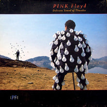 Cargar imagen en el visor de la galería, Pink Floyd | Delicate Sound Of Thunder [2LP]
