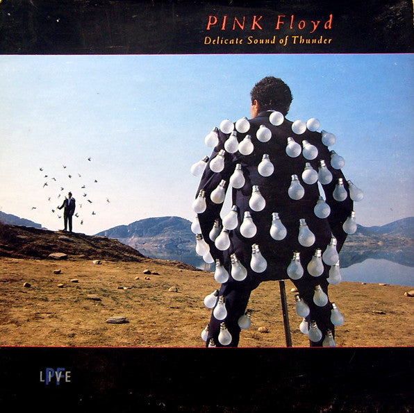 Pink Floyd | Delicate Sound Of Thunder [2LP]