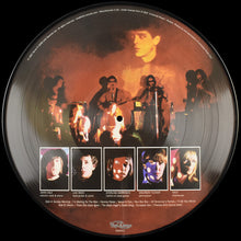 Cargar imagen en el visor de la galería, The Velvet Underground &amp; Nico [Picture Disc]
