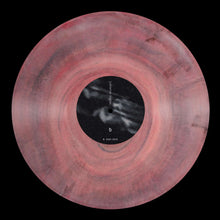 Cargar imagen en el visor de la galería, Palmeras Negras | s/t [Marbled Vinyl]
