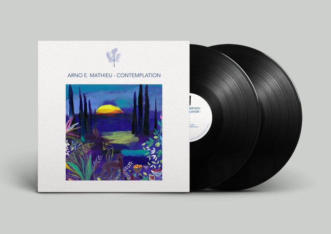 2LP Arno E. Mathieu | Contemplation