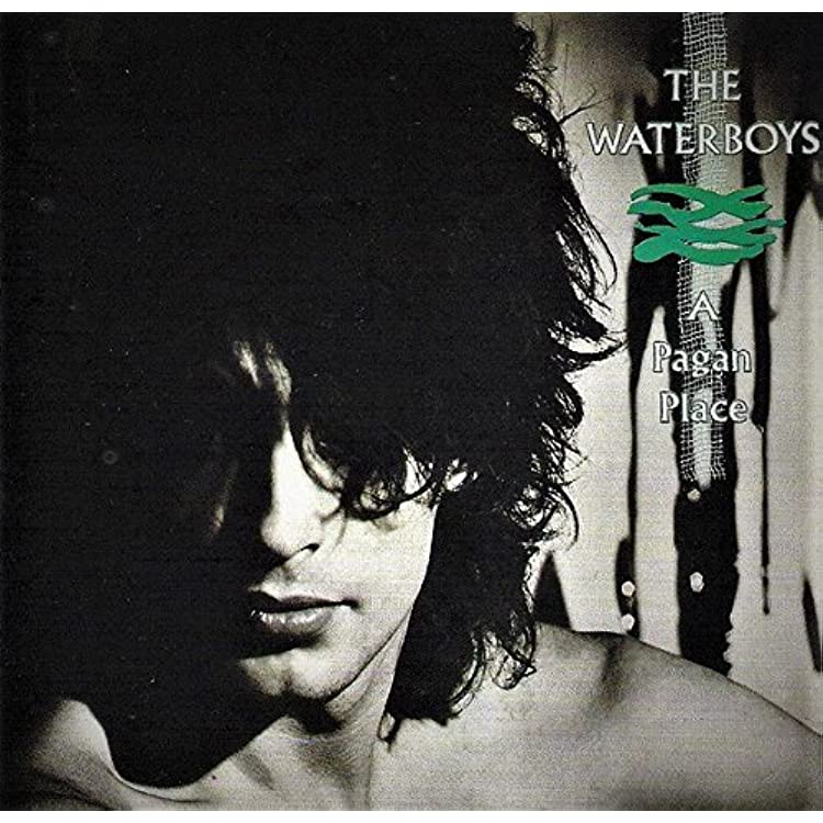 The Waterboys ‎| A Pagan Place